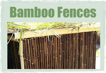 Buy Bamboo Fencing From Jungle Supply California Sacramento Newcastle